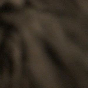 Meet your Posher, Mildred